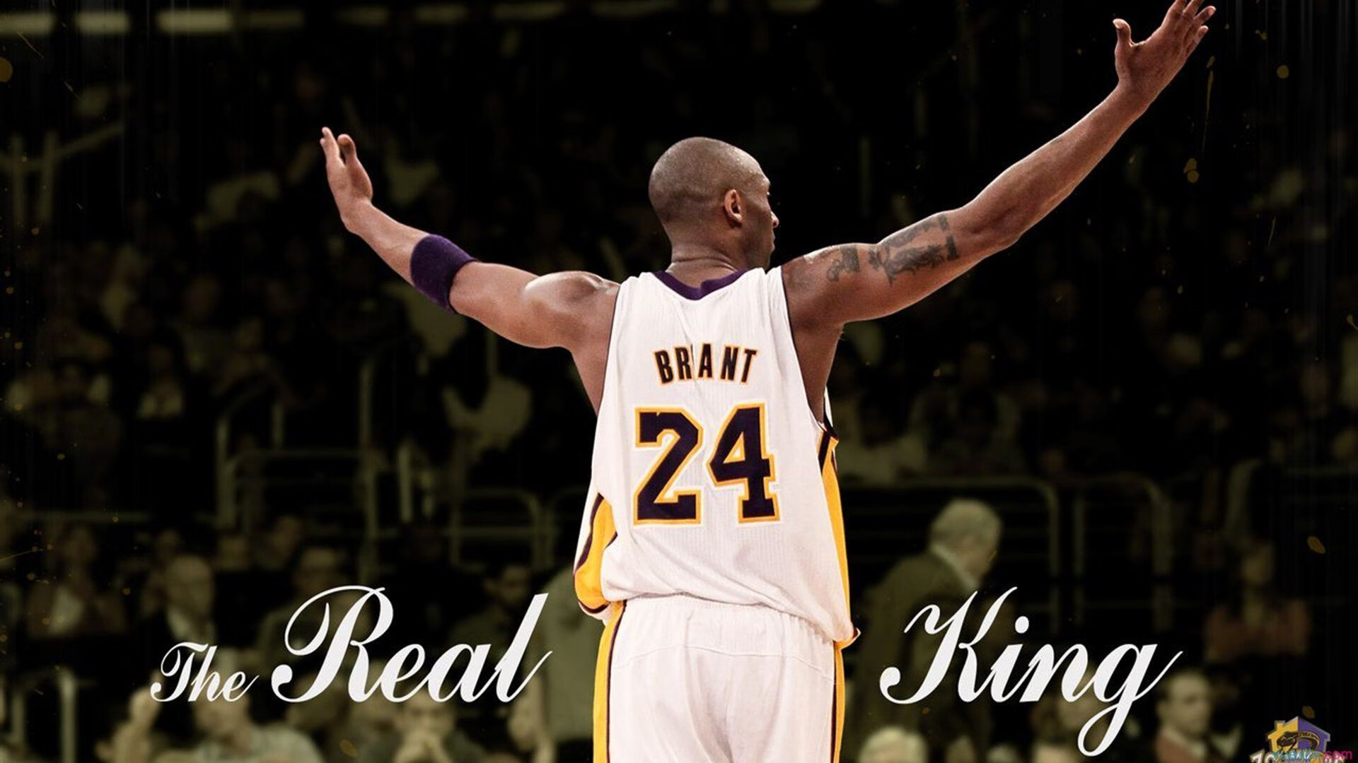 mk足球官网-格斗UFC:超级对决燃爆全场,擂台争锋!,ufc超越拳击